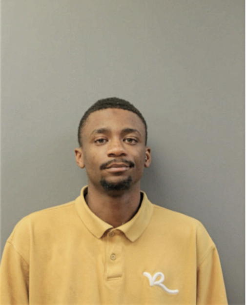 KAMERON D ALSTON, Cook County, Illinois