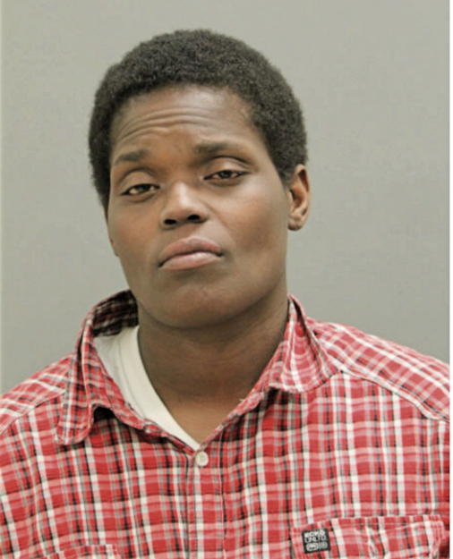 SALEEMA L AMES, Cook County, Illinois