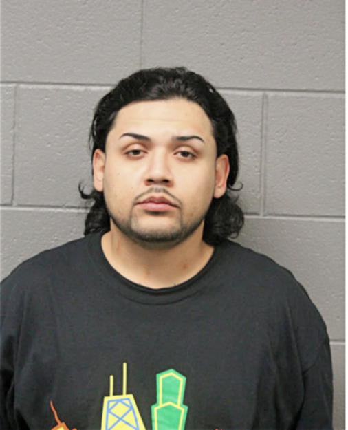 DANIEL C DIAZ, Cook County, Illinois