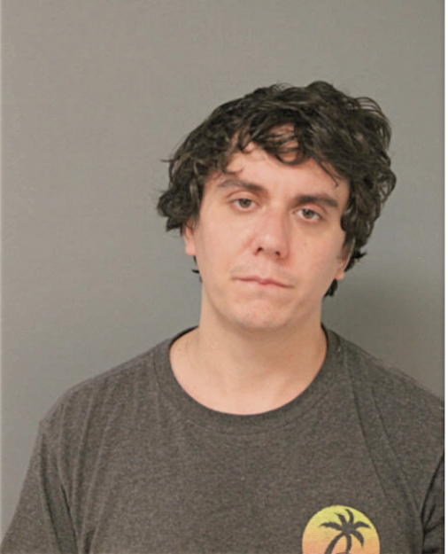 MICHAEL J DRAZKOWSKI, Cook County, Illinois