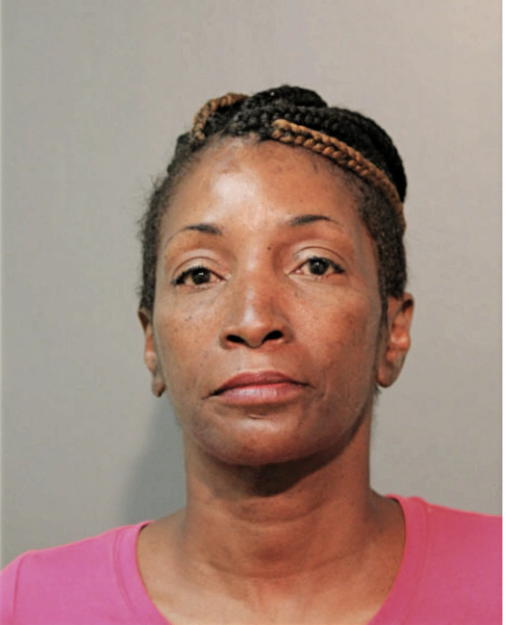 TERRIE L DYER, Cook County, Illinois