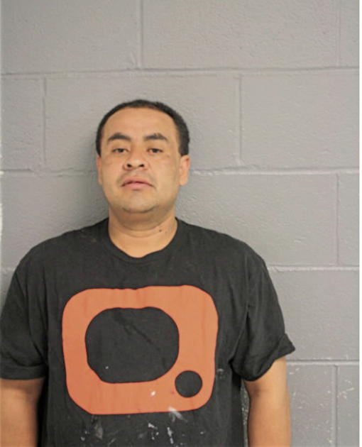 RONALDO GARCIA, Cook County, Illinois