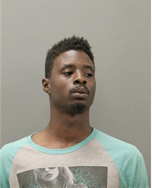 BRYSON R GLADNEY, Cook County, Illinois