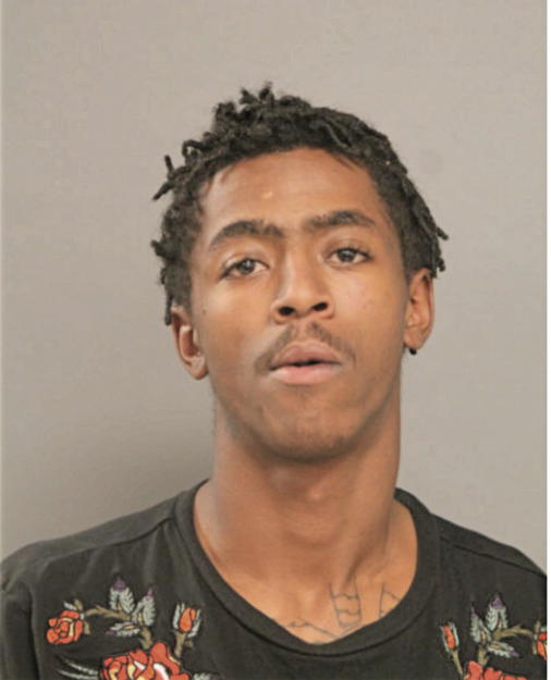NATHAN L HARRIS, Cook County, Illinois