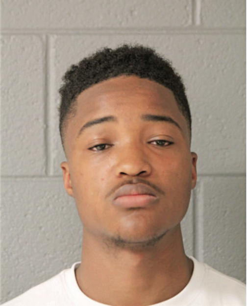 NINO D JOHNSON, Cook County, Illinois