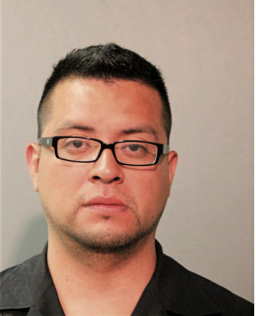 GERARDO LAGUNAS, Cook County, Illinois
