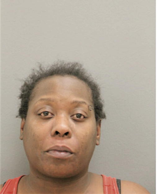 KATRINA N LEWIS, Cook County, Illinois