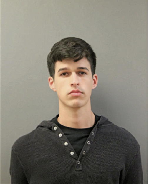 AARON A MUNIZ, Cook County, Illinois