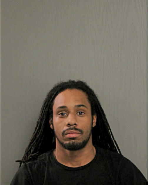 BRANDON J NOEL, Cook County, Illinois