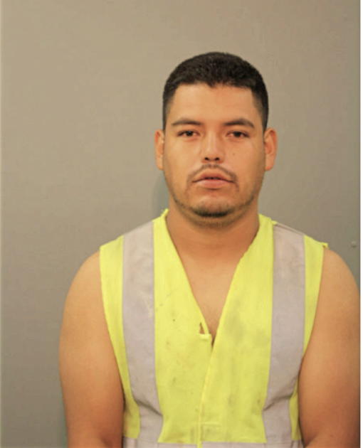 DAVID OCAMP-MOTA, Cook County, Illinois
