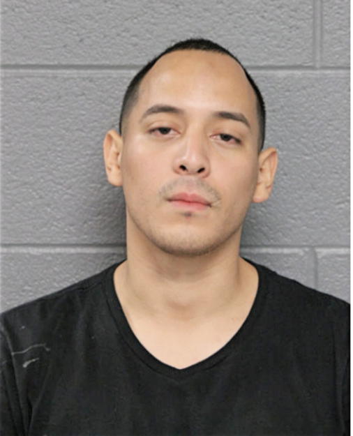JOSE A ORTIZ, Cook County, Illinois