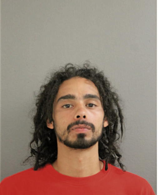 ANGEL L RODRIGUEZ, Cook County, Illinois