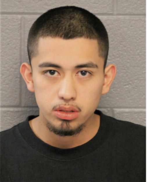 RENDY ROMANIZ, Cook County, Illinois
