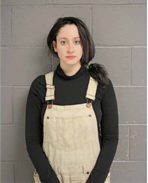 EMILY A SORRENTINO, Cook County, Illinois