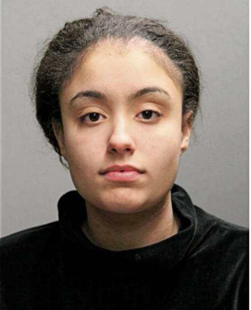 AMANDA TORRES, Cook County, Illinois