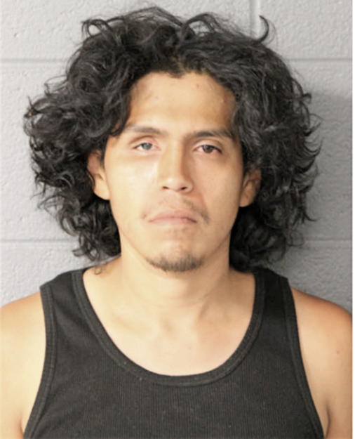 LADISLAO VASQUEZ, Cook County, Illinois