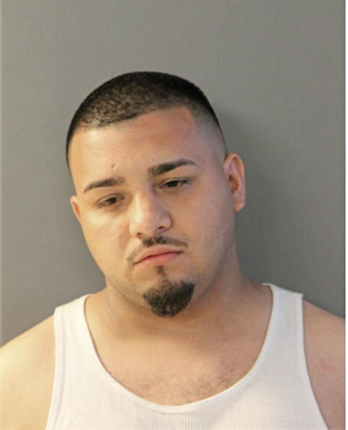 NESTOR E VILLAGOMEZ, Cook County, Illinois