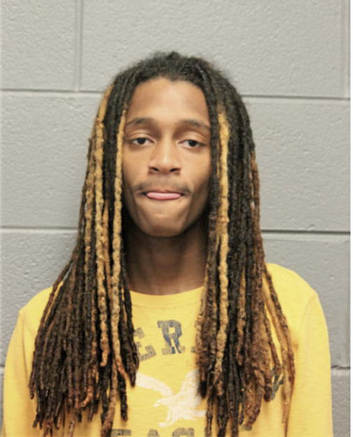 JALIER M YOUNG, Cook County, Illinois