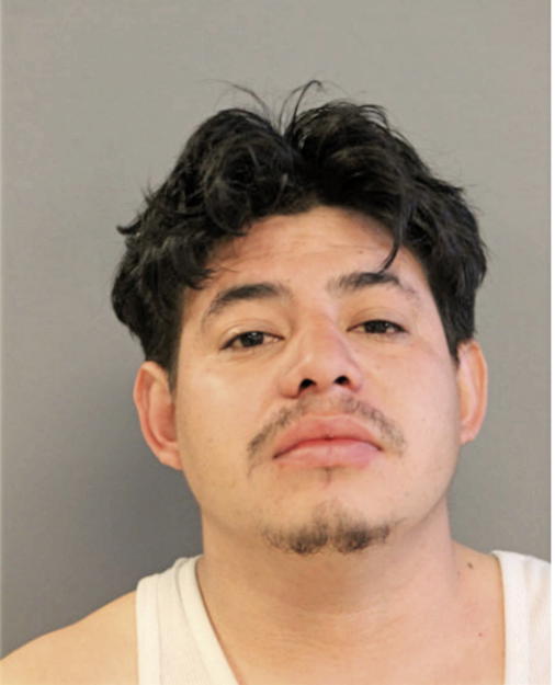 IRINEO ALBARRAN, Cook County, Illinois
