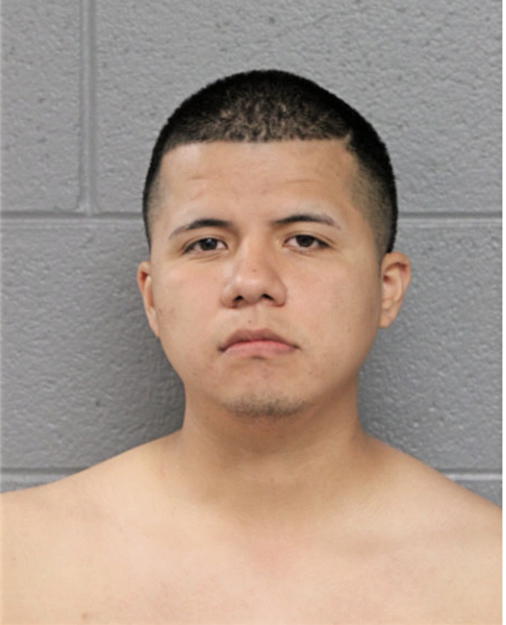 ANGEL G CARRENO, Cook County, Illinois