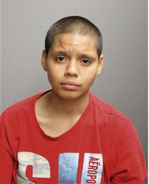 ANGELICA ESCAMILLA, Cook County, Illinois