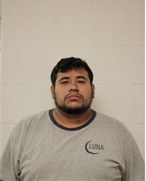 BONIFACIO J FERNANDEZ, Cook County, Illinois
