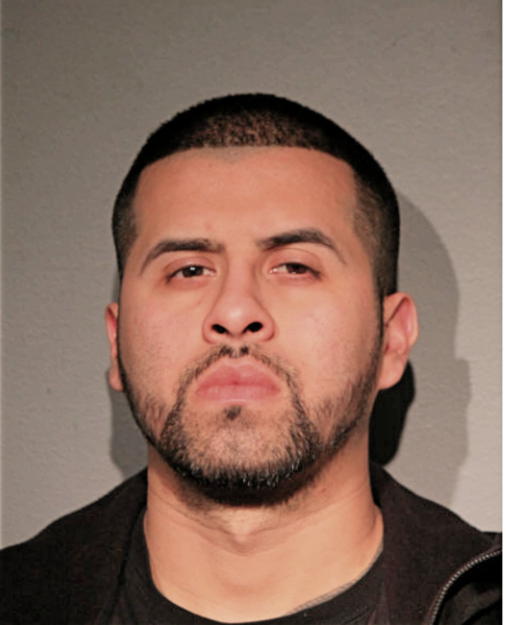 SALOMON GONZALEZ, Cook County, Illinois
