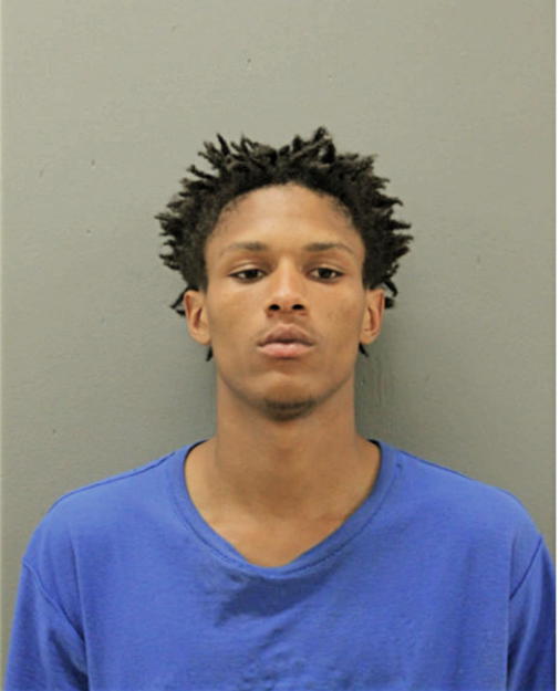 SHAWN D HIGGINS, Cook County, Illinois