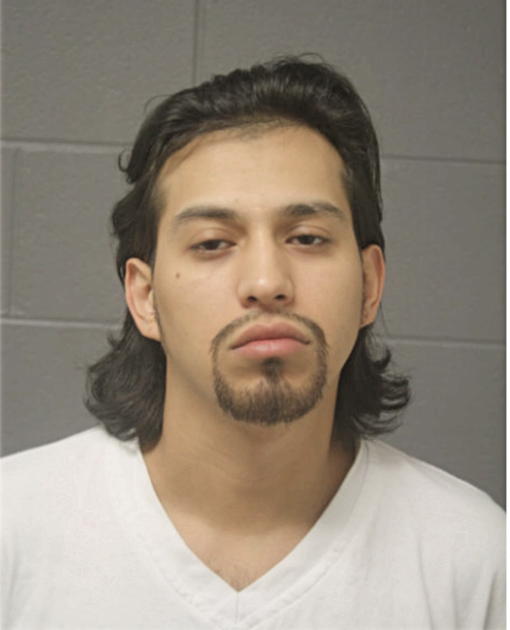 MIGUEL A ISLAS, Cook County, Illinois