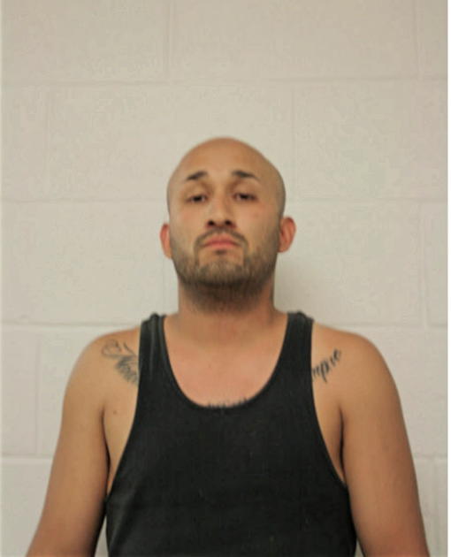 ALEXANDER E MAGDALENO, Cook County, Illinois
