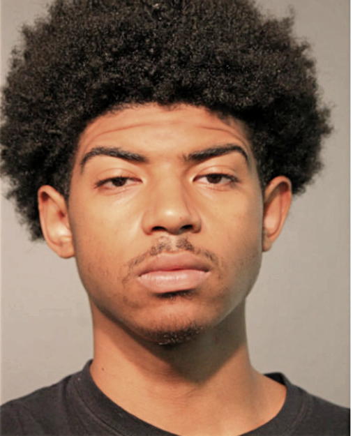 BRANDON MCGHEE, Cook County, Illinois