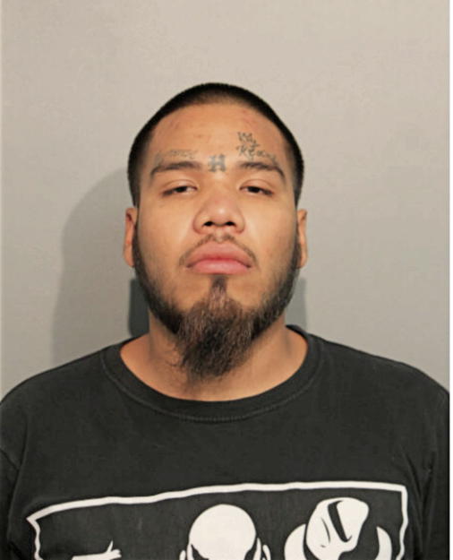 ANTHONY MENDOZA, Cook County, Illinois
