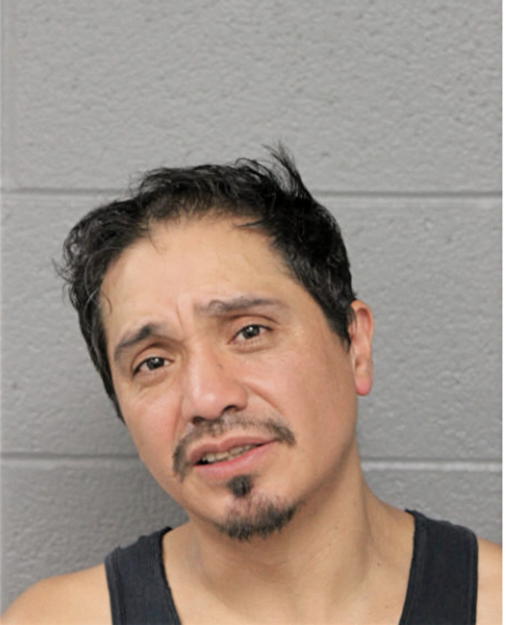 JERONIMO M MERCED, Cook County, Illinois