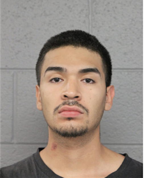 ALEXANDER MOTA-ZUNIGA, Cook County, Illinois