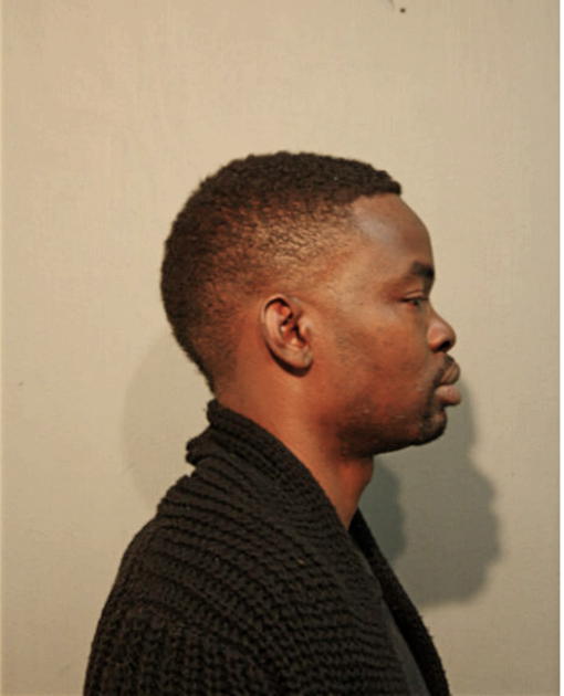 FEMI J OGINNI, Cook County, Illinois