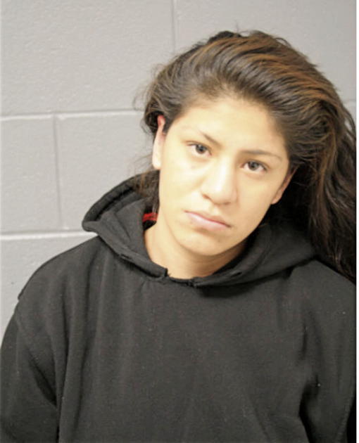 RUBI C PERDOMO, Cook County, Illinois