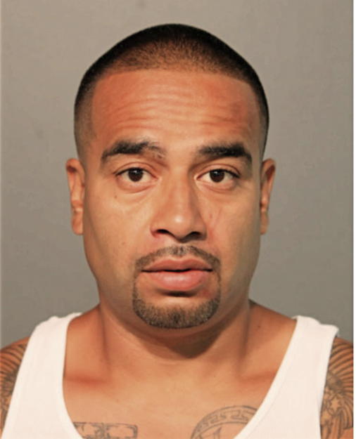 DANIEL A RAMIREZ, Cook County, Illinois