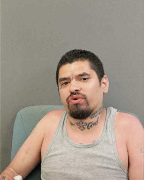 GEORGE I RAMOS, Cook County, Illinois