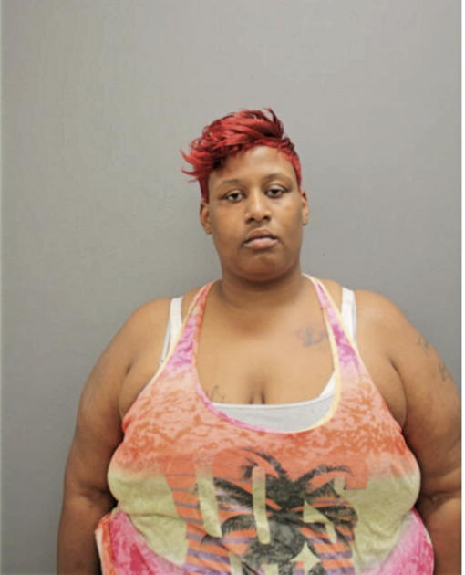 TAMIKA N SMITH, Cook County, Illinois