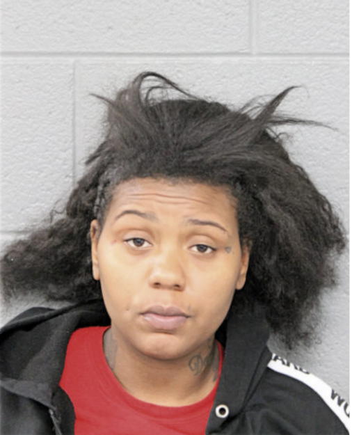 MAHOGHANI D STYLES, Cook County, Illinois