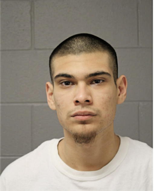 JAVIER VACA, Cook County, Illinois