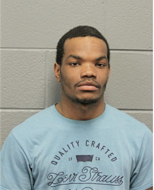 BRANDON T WESLEY, Cook County, Illinois