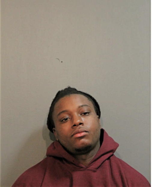 ANDRE L WILLIAMS, Cook County, Illinois
