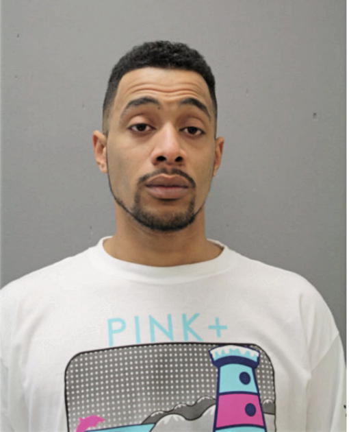 SAMUEL E WILSON, Cook County, Illinois