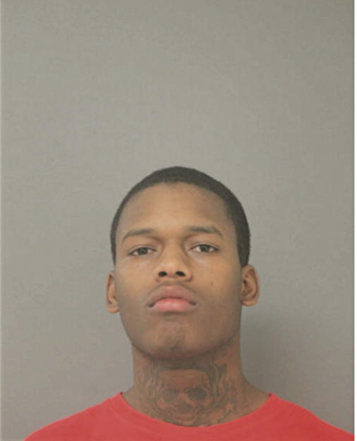 WILLIE J AKINS, Cook County, Illinois