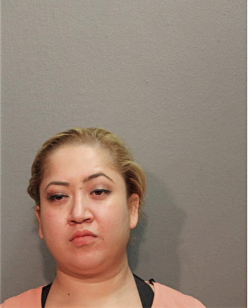 AIDE ALVARADO, Cook County, Illinois