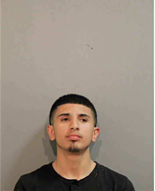 JUSTIN HENRY BAIS, Cook County, Illinois