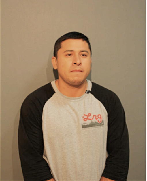 GUADALUPE P BENAVENTE, Cook County, Illinois