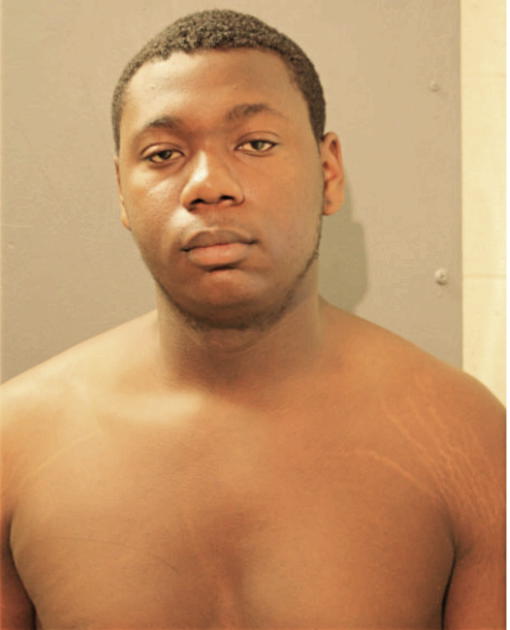 ANTHONY E ELLIS, Cook County, Illinois