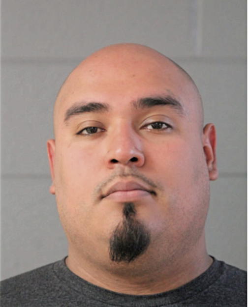 ANDRES A GARCIA, Cook County, Illinois